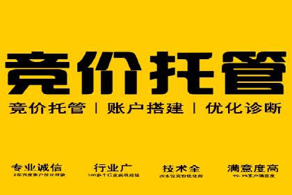 搜索引擎关键词竞价排名的策略调整与案例